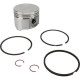 Piston Briggs Stratton 499284 pour moteur d'autoportée